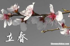 2024年立春是哪一天 2024年立春這天日子怎樣