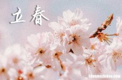 2024年立春是幾月幾日 2024立春開光好嗎