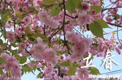 2024年立春是幾點(diǎn)幾分幾秒 2024立春當(dāng)天可以開工嗎