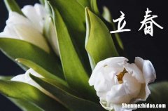 2024立春是農(nóng)歷哪一天 2024年立春開市好不好