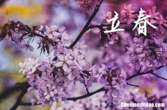 立春是幾月幾號2024年 2024年立春弄開柱眼好不好