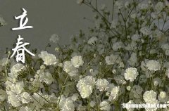 立春是幾月幾號2024年 2024立春這天可以開池嗎