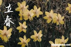 2024年農(nóng)歷幾號立春 2024年立春開生墳合適嗎