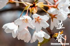 2024年立春是星期幾 2024立春那天房屋過戶好嗎