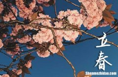 2024年立春是幾月幾日 2024年立春能打灶臺嗎