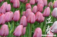 2024年立春農(nóng)歷時間 2024立春當天可以拆墻嗎