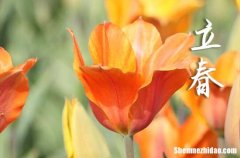 2024年立春農(nóng)歷時間 2024年立春拆房合適嗎