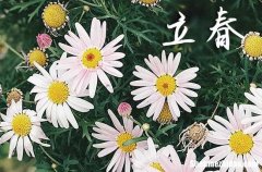 2024年什么時候立春 2024年立春弄拜神好不好