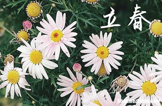 2024年什么时候立春 2024年立春弄拜神好不好