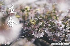 2024年農(nóng)歷幾號(hào)立春 2024年立春弄提車好不好