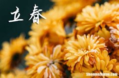 2024年立春幾月幾日 2024年立春是提親吉日嗎