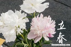 2024年立春是多少號(hào) 2024年立春可以搬家入宅嗎