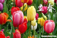 2024年立春是具體哪一天 2024年立春弄搬新家好嗎