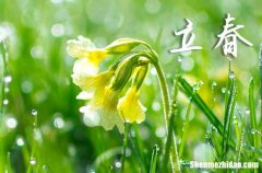 2024年農(nóng)歷幾號(hào)立春 2024立春當(dāng)天可以搬新屋嗎