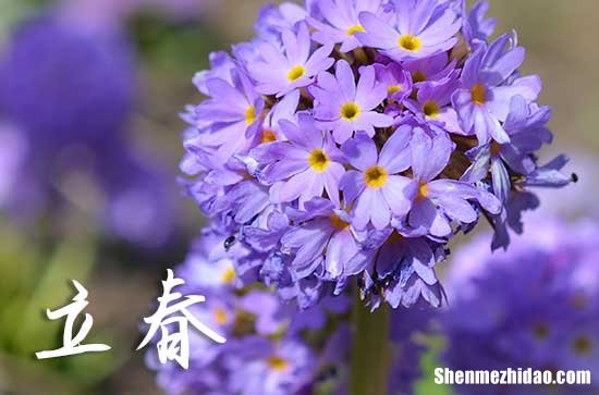 2024年立春農(nóng)歷時間 2024年立春是搬遷吉日嗎