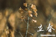 2024年立春是星期幾 2024年立春弄新房入宅好不好