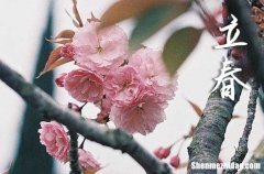 2024年立春是哪一天 2024年立春弄橋梁完工好不好