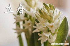 2024年立春是多少號(hào) 2024年立春能生子嗎