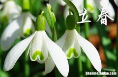 2024立春是農(nóng)歷哪一天 2024年立春弄相親好不好