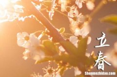 2024年立春農(nóng)歷時間 2024立春當(dāng)天可以破土嗎