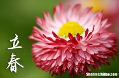 2024立春是農(nóng)歷哪一天 2024年2月4日立春黃歷