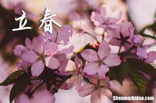 2024年立春是多少號 2024立春那天祭拜神靈好嗎