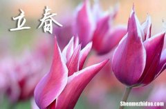 2024年立春是幾月幾日 2024年立春弄祭奠適合嗎