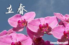 2024年立春幾月幾日 2024年立春可以祭拜灶神嗎