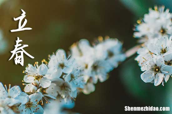 2024年今年立春是幾月幾號 2024立春那天納采好嗎