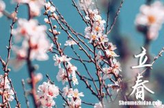 2024年立春幾月幾日 2024年立春弄立牌匾可以嗎