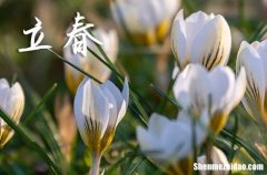 立春是2024的幾月幾日 2024立春這天可以納財(cái)嗎