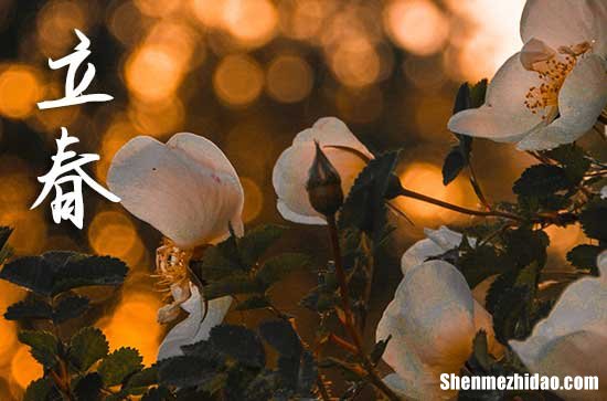 2024年立春是什么時候 2024年立春這天日子怎樣