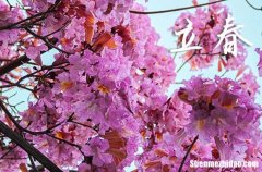 2024年立春是星期幾 2024年立春弄結(jié)婚好不好