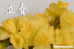 立春是2024的幾月幾日 2024年立春弄裝修動工適合嗎