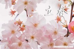 立春是2024的幾月幾日 2024年立春適合請佛嗎