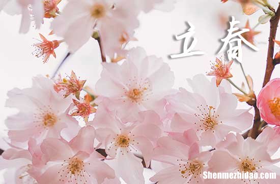 立春是2024的幾月幾日 2024年立春適合請佛嗎