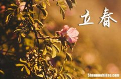 2024立春是哪天 2024年立春議婚吉祥嗎