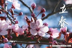 立春是幾月幾號(hào)2024年 2024年立春可以遷墳嗎