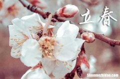 2024年什么時(shí)候立春 2024年立春弄遷移祖墳適合嗎