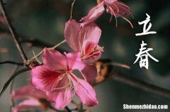 2024年立春時(shí)間是什么時(shí)候 2024年2月4日立春黃歷