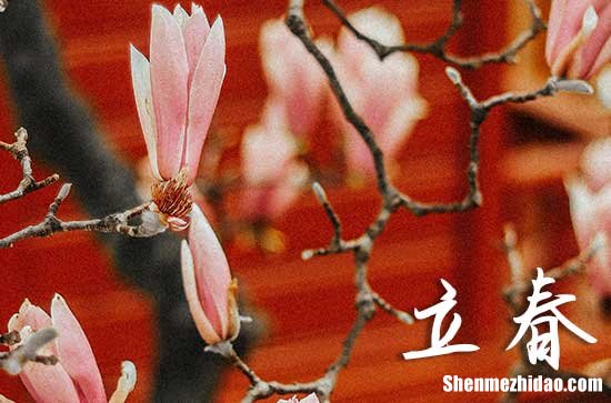 2024立春是哪天 2024年立春酬神好不好