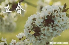 2024年立春時間是什么時候 2024年立春領(lǐng)養(yǎng)孩子吉祥嗎