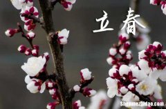 2024年立春是多少號 2024年立春適合領(lǐng)證嗎