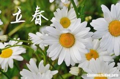 立春2024年是幾月幾日星期幾 2024年立春結(jié)婚登記吉利嗎