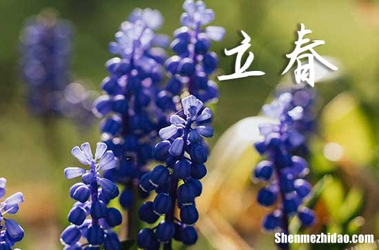 2024年立春是星期幾 2024年2月4日立春黃歷