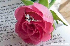 2024年情人節(jié)表白短信情人節(jié)表白文案