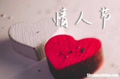 2024年情人節(jié)祝福短信匯節(jié)日情人祝福語大全