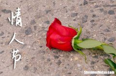 2024年2月14情人節(jié)甜蜜祝福語表白大全送給女朋友最浪漫的話