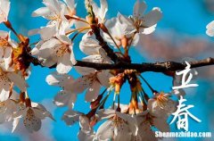 2024立春優(yōu)美句子 關于立春優(yōu)美句子有哪些
