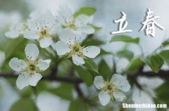 2024立春溫馨祝福語短信 關(guān)于2024立春溫馨短信祝福語推薦